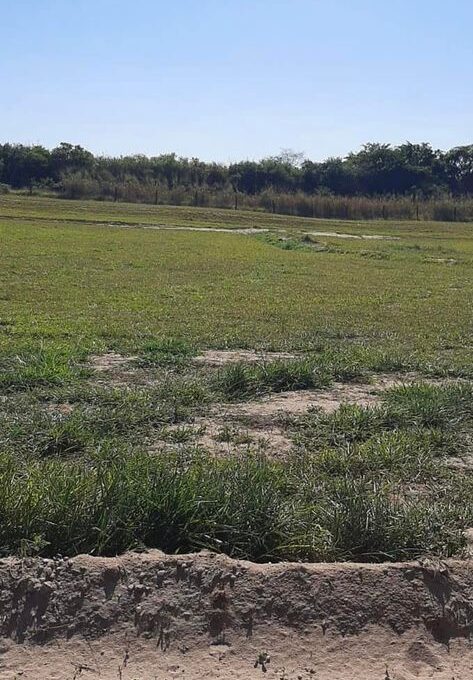 274529158_1271744936562391_936860755087333713_n