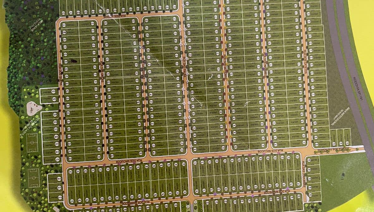 274538982_1271745019895716_4204704115692099014_n