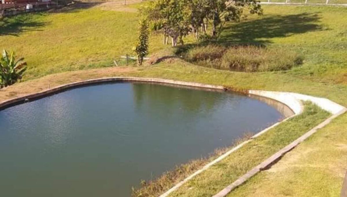 292303065_1357846107952273_7366002993034618043_n