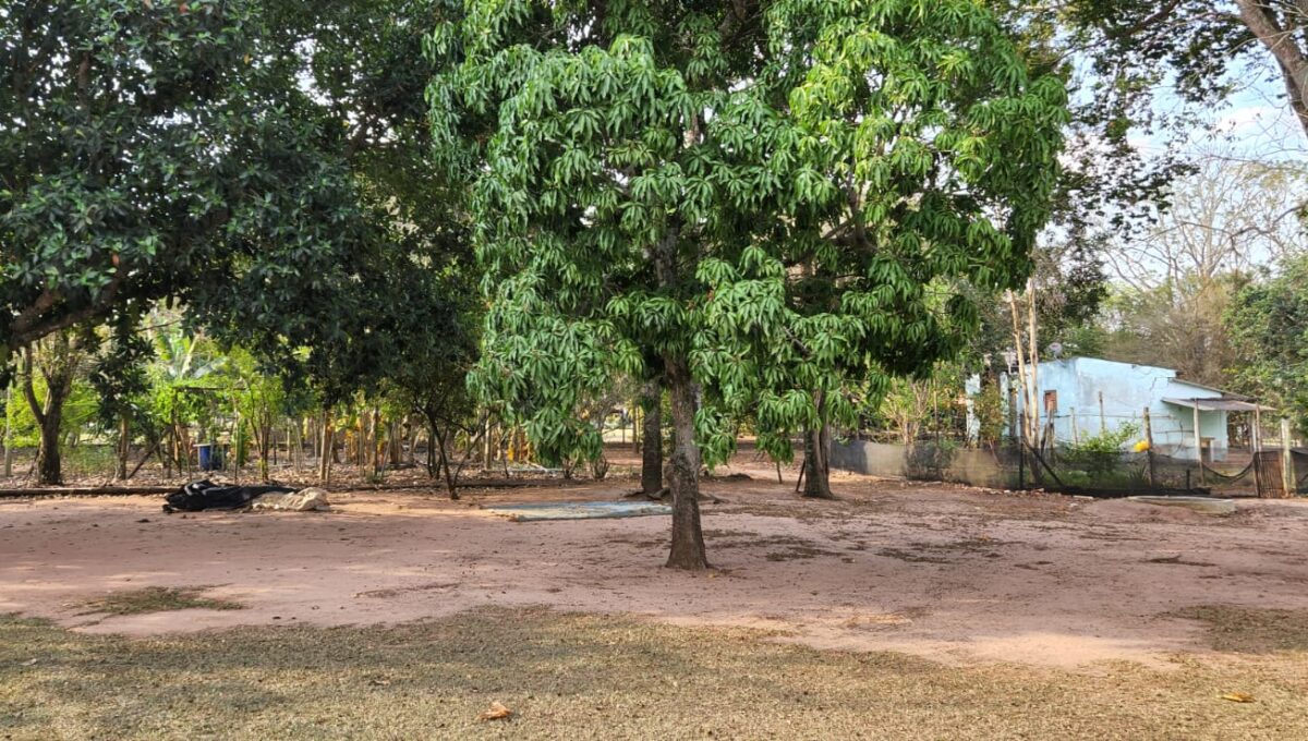 dbabe7ed-69b3-44f1-a446-194f7ffe8319