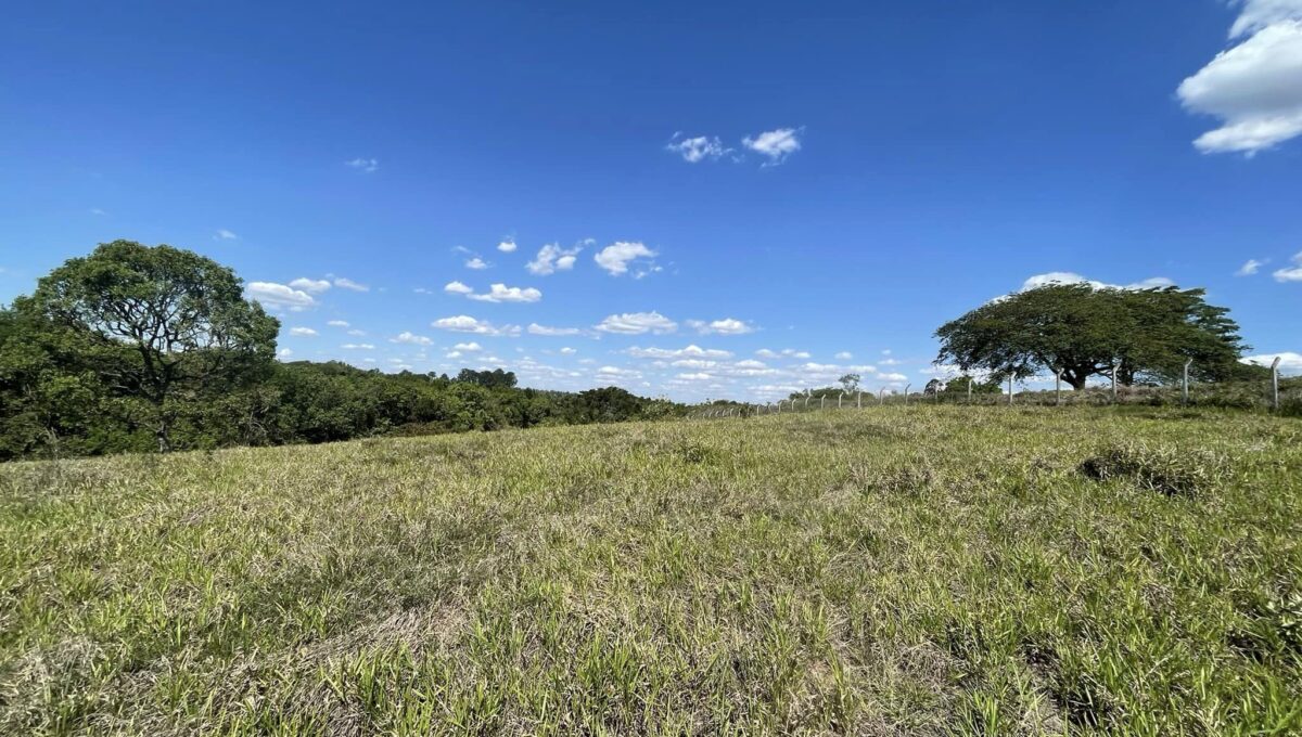 312537458_1445699145833635_2933017579059838552_n