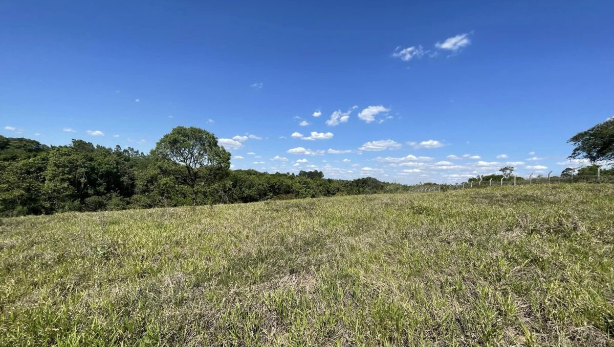 312592088_1445699082500308_5502205002900363480_n