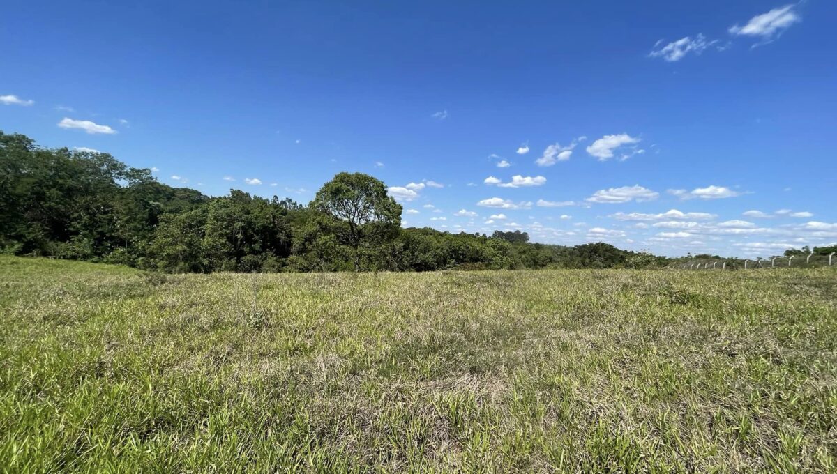 312726270_1445699065833643_1404034527759532061_n