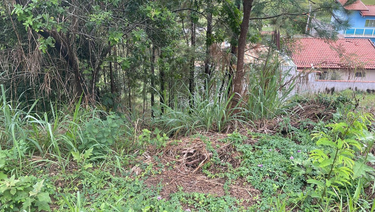 336105382_6104342342982201_3778767798415338605_n