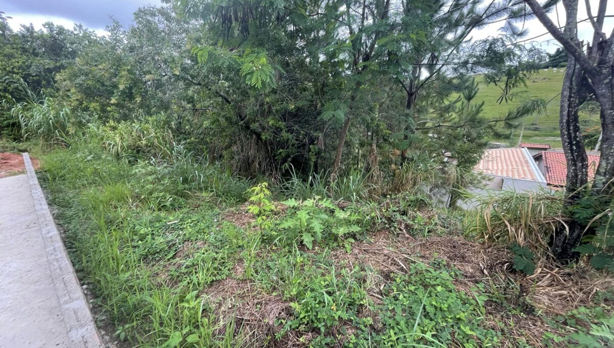 336678712_898281498167806_5998485692154158124_n