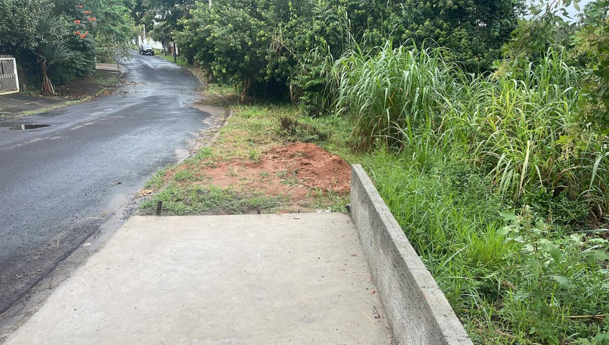 336734252_747883970329363_6821602371237463100_n