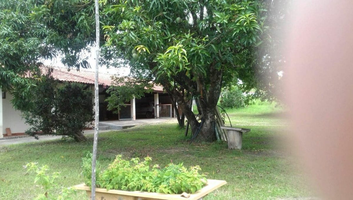 406321178_1676668752736672_1916445818413223066_n