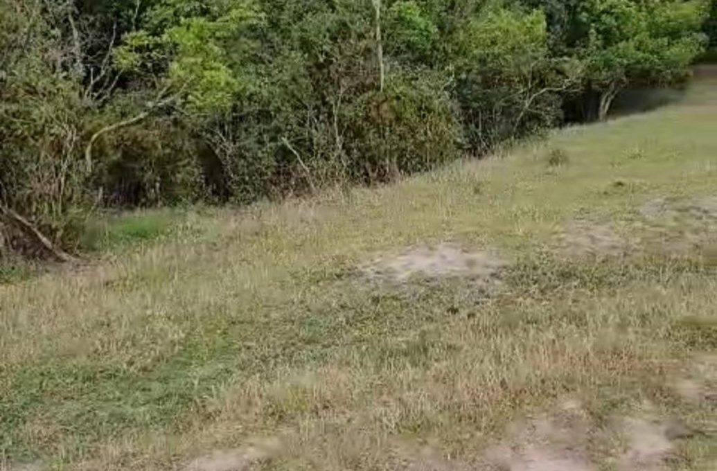 432613610_1742693172800896_1303572119791485429_n