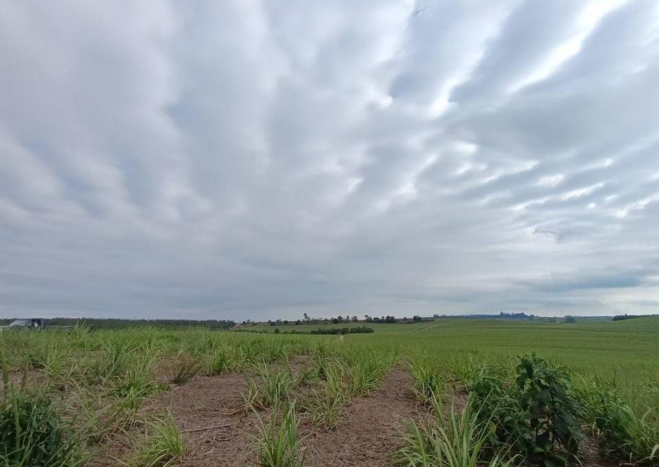 626245383_2258305967906278_7947265692045154036_n