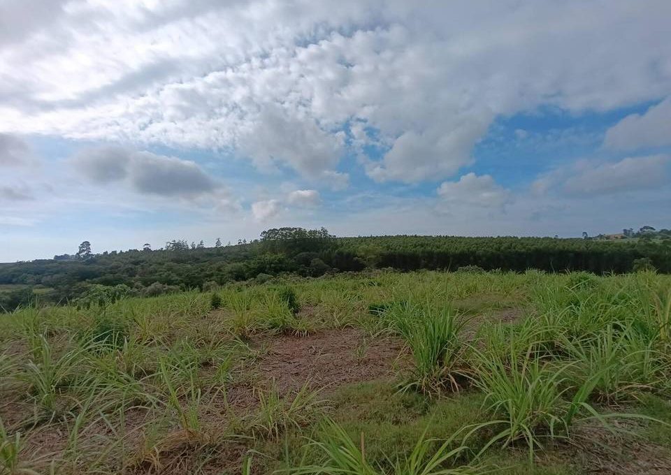 628146813_2258305841239624_6412512298472061150_n