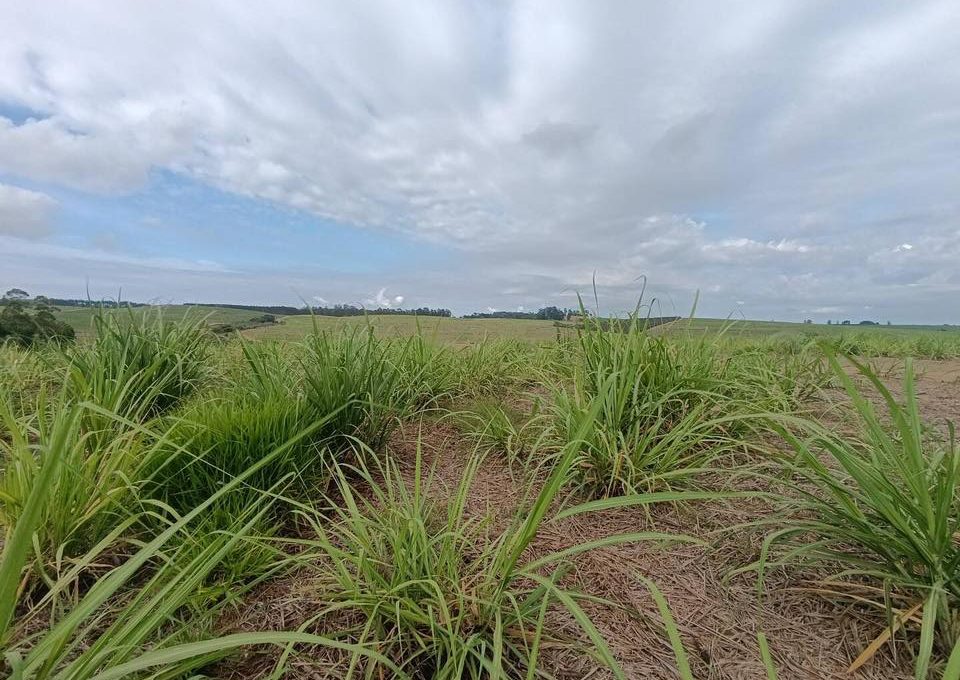 628235807_2258305777906297_7851402084944602069_n