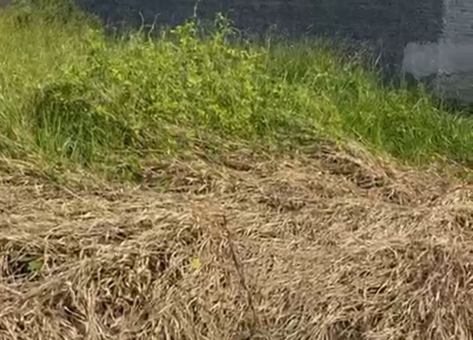 645802778_2281867358883472_4868519461367440807_n