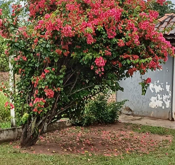 673951523_2323749344695273_5177542792571750911_n